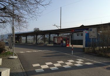 Excursión A pie Niederweningen - Niederringen Dorf - Neerach - Photo