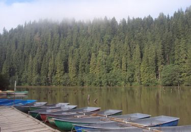 Randonnée A pied Gheorgheni - Lacu Roșu - Păstrăvărie - Lacu Roșu - Photo