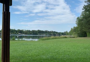Trail Bicycle tourism Ribeauvillé - ELSASS BIKE 2020 - ETAPE 4 - Photo