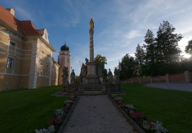 Trail On foot Vorau - Strassbauerwirtweg - Photo