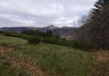 Tour Wandern Murat-le-Quaire - la Bourboule le mont dore - Photo
