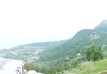 Excursión A pie Gargnano - Sasso, Monte Caminala - Photo