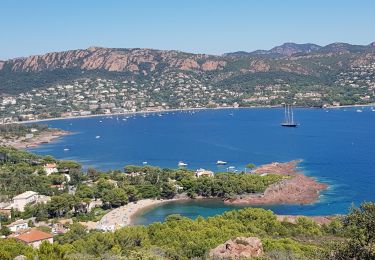 Randonnée Marche Saint-Raphaël -  tour du Dramont - Photo