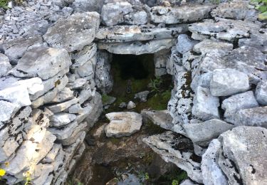 Tour Wandern Saint-Agnan-en-Vercors - Malaval  - Photo