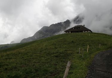 Randonnée Marche La Giettaz - Le chalet du curé  - Photo