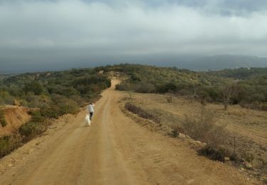 Tour Wandern Le Boulou - La bataille du Boulou - Photo