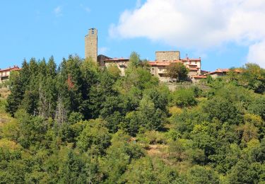 Excursión A pie Castel San Niccolò - IT-28 - Photo