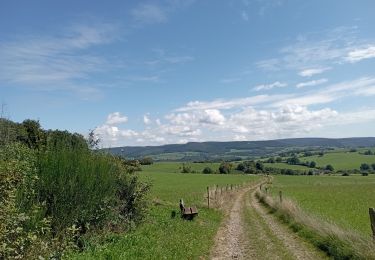 Tour Wandern Rendeux - Hodister mini boucle - Photo