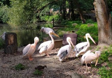 Tocht Te voet okres Košice - okolie - Náučný chodník Ku Kráľovej studni - Photo