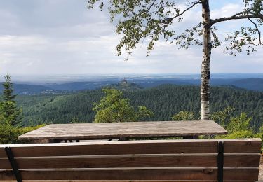 Tocht Stappen Dabo - col de la schlief - Photo