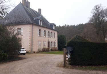 Tour Laufen Ivoy-le-Pré - boucle voiture le pre  - Photo