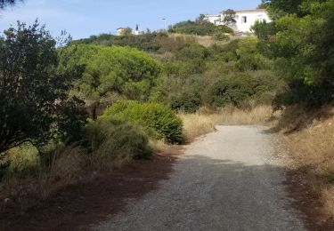 Excursión Senderismo La Seyne-sur-Mer - foret de Janas - Photo