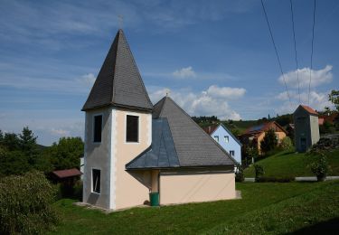 Randonnée A pied Ehrenhausen an der Weinstraße - Weinwanderweg Ratsch-Ottenberg - Photo