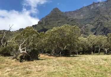 Excursión Senderismo La Possession - La Nouvelle Retour  - Photo