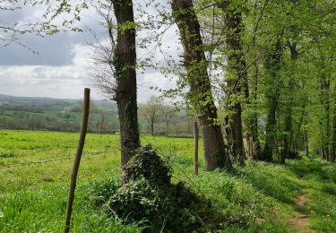 Trail Walking Burgnac - Burgnac  les belles vues - Photo