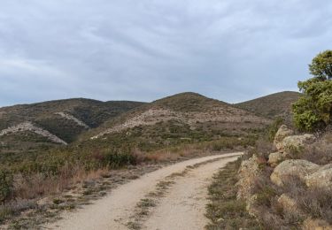 Percorso Marcia Trévillach - Séquière depuis le col des Auzines  - Photo