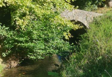 Trail Walking Espelette - Circuit des familles  - Photo