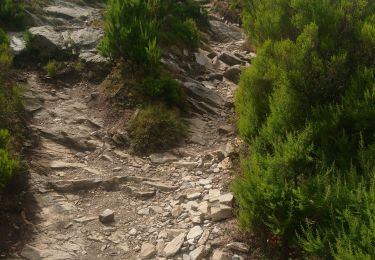 Percorso Marcia Bastia - chemin des crêtes au dessus de Bastia  - Photo