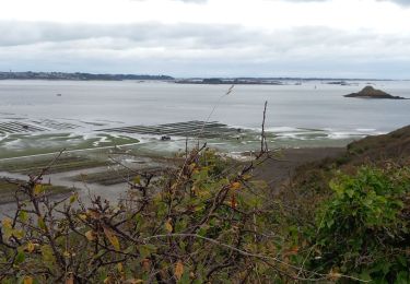 Trail Walking Plouézec - Brehec Paimpol 12/10/2023 - Photo