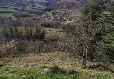 Tocht Stappen Saint-Désirat - St Désirat  La madone - Photo