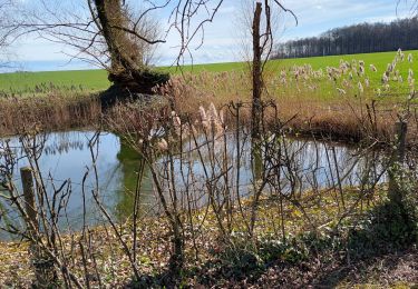 Randonnée Marche Thuin - ragnies - Photo