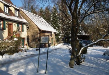 Tocht Te voet Onbekend - Rundwanderweg Königstuhl 5: Kohlhof-Weg - Photo