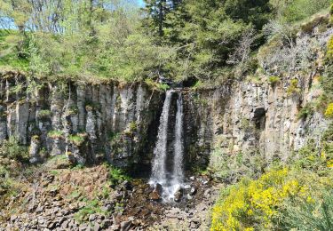 Excursión Senderismo Murat-le-Quaire - coux-puygros-guery-lac-cascade-mary-banne-tenon - Photo