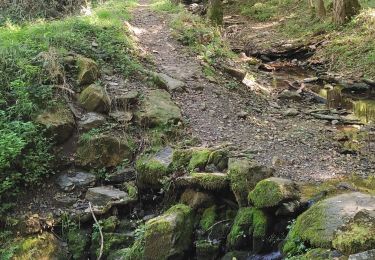 Excursión Senderismo Florac Trois Rivières - Les Cévennes sentiers sympas  - Photo