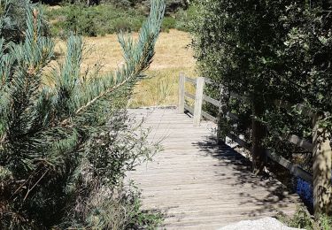 Trail Walking Fontans - LE BAOU DE L'ESTIVAL - Photo