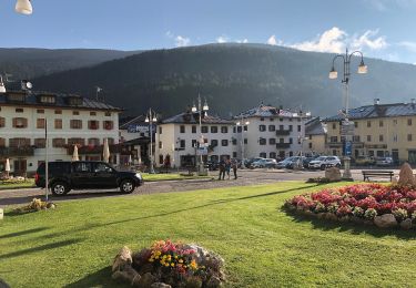 Trail On foot Auronzo di Cadore - IT-125 - Photo