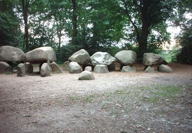 Randonnée A pied Borger-Odoorn - Bijvoetpad - Photo