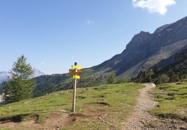 Trail Walking Ceillac - J9 Ceillac  - Photo