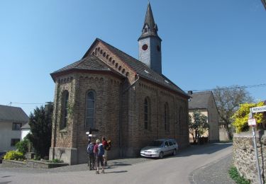 Randonnée A pied Lykershausen - Rheinsteig-Zuweg Dahlheim - Photo