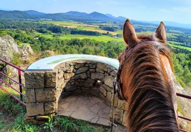 Trail Horseback riding Sauret-Besserve - Chevauchée en Combrailles - Boucle des Fades - Photo