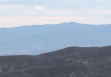 Excursión A pie  - Gornje Jelenje - Vilje - Risnjak - Photo