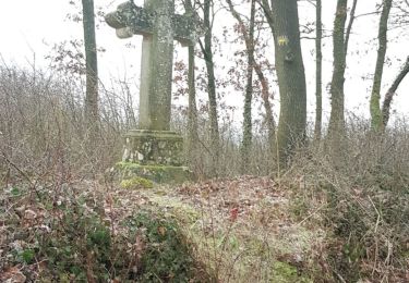 Tour Wandern Labbeville - Labbeville - Photo