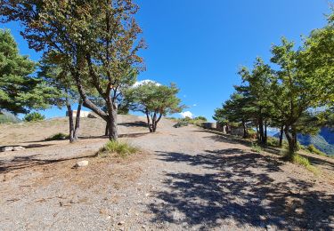 Excursión Senderismo Sospel - Sospel Mont Agaisen - Photo