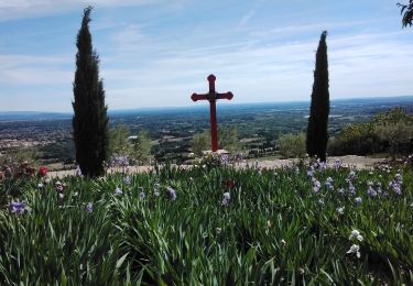 Trail Walking Beaumes-de-Venise - beaumes durban St hilaire 84 - Photo