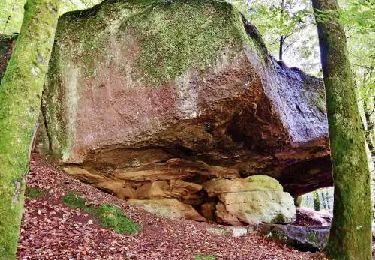 Tour Wandern Frédéric-Fontaine - Frédéric-fontaine  Roche-des-Sarrasins - Photo