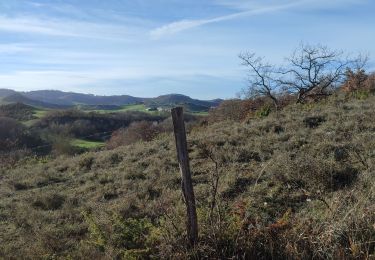 Randonnée Marche Plavilla - Plavilla la campagne d'aujour d'hui et d'hier - Photo