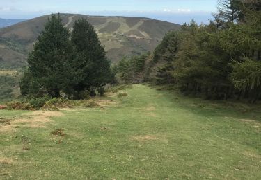 Trail Walking Urrugne - Ibardin tour du lac  - Photo