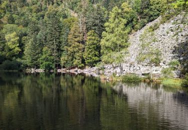 Tour Wandern Mittlach - 2023-09-24 Marche Mittlach 5 Lacs - Photo