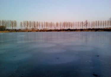 Tocht Te voet Moerbeke - Pereboomsgat Wandelroute - Photo