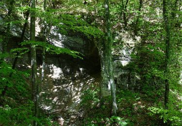 Percorso A piedi  - Mitsko-povijesna staza “Trebišća – Perun” - Photo