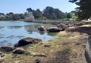 Trail Walking Arzon - Arzon - Photo