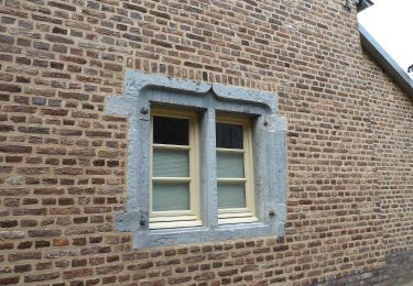 Percorso A piedi Maasmechelen - Leut & Meeswijk Gele zeshoek - Photo