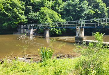 Trail Walking Houffalize - Engreux 190625 - Photo