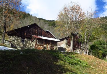 Excursión Senderismo La Tour-en-Maurienne - Crêt du Carolier - Photo