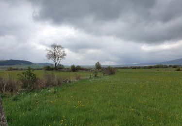 Tour Wandern Le Puy-en-Velay - [01] Compostelle : du Puy-en-Velay à Saint-Privat-d'Allier - Photo