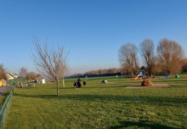 Excursión Senderismo Sotteville-sous-le-Val - 20230214 Sotteville sous le val  Les Authieux  - Photo